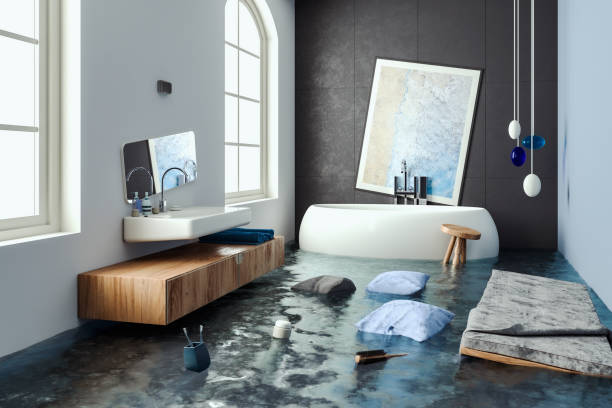 Best 24/7 water damage repair  in Rossville, IN