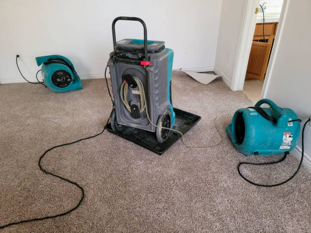 Best Water damage restoration specialists  in Rossville, IN