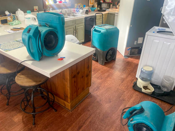 Best Residential water damage restoration  in Rossville, IN