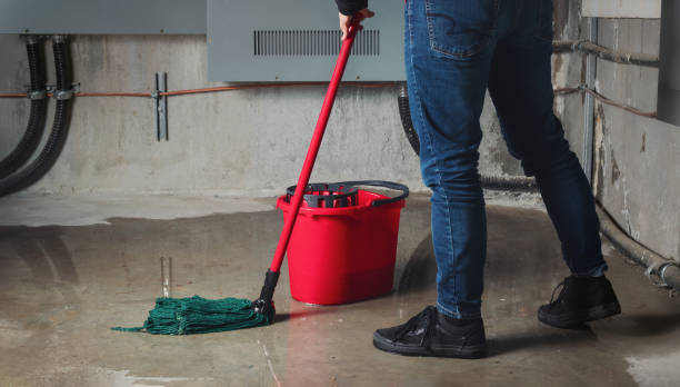 Best Water damage restoration near me  in Rossville, IN