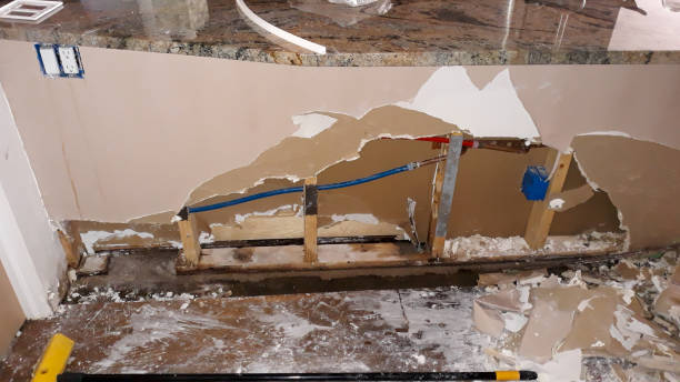 Best Basement water damage restoration  in Rossville, IN
