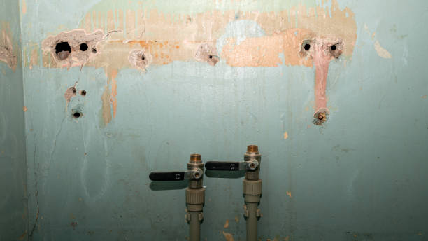 Best Professional water damage repair  in Rossville, IN