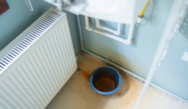Best Professional water damage repair  in Rossville, IN